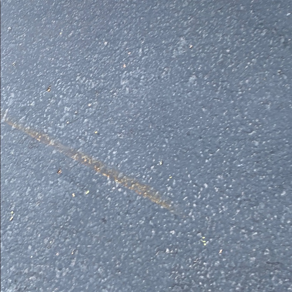 Meet your Posher, Bella